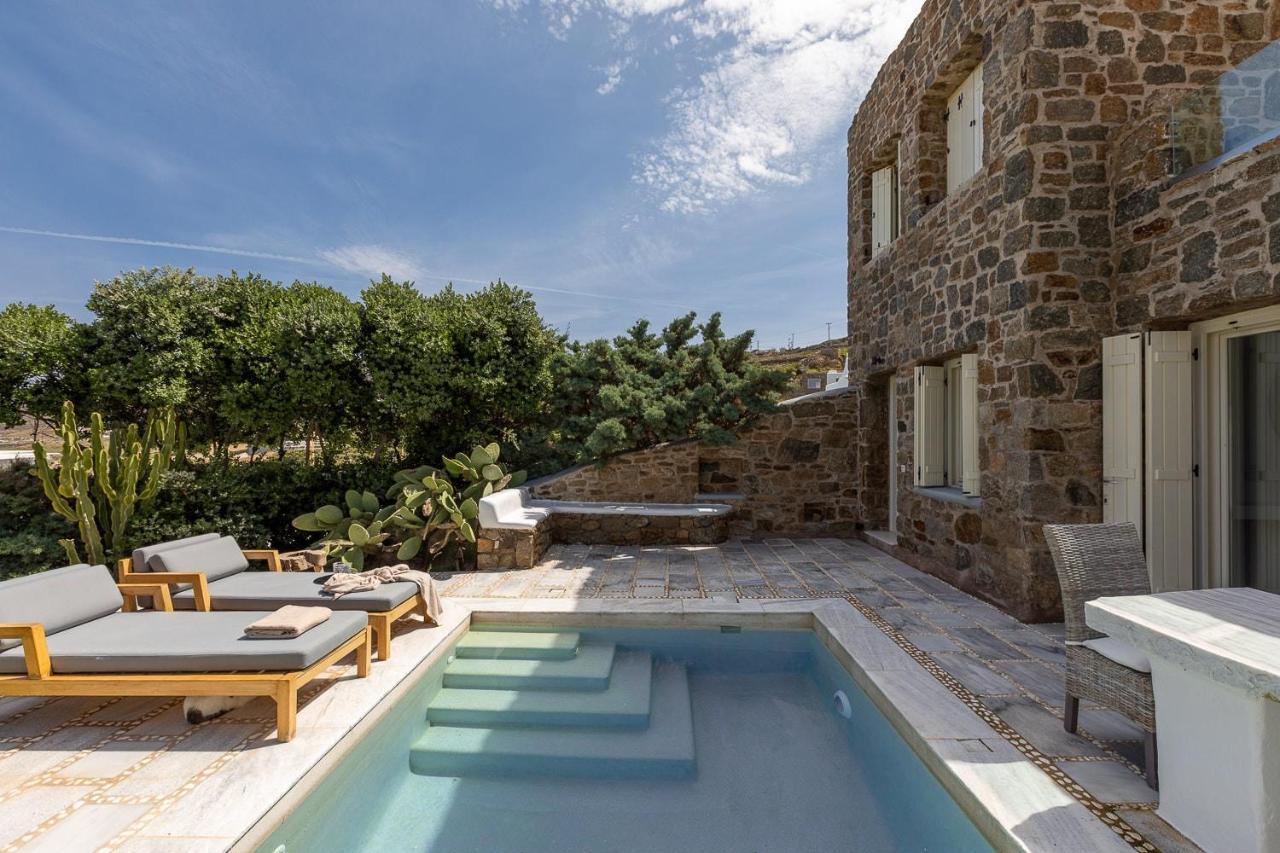 Mykonos Dream Villas Ftelia  Esterno foto